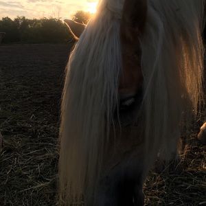 Meet your Posher, Mya